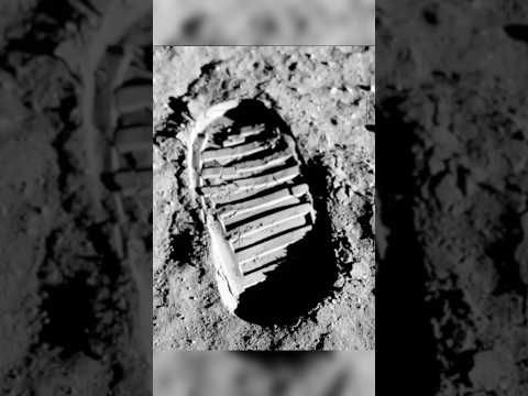 Thumbnail for Was all this a lie? 🤯#shorts by ToXin