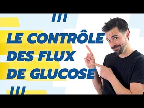 Thumbnail for COURS DE TERMINALE SPÉCIALITÉ SVT CHAP.18: LE CONTRÔLE DES FLUX DE GLUCOSE -Bio Logique- by Bio Logique