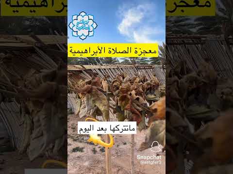 Thumbnail for #معجزة #الصلاة_الابراهيميه 😇ماتتركها بعد اليوم #اكسبلور #الله by 💠جٍوُآهـرٍ إسلُِآمية💠