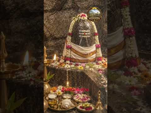 Thumbnail for The Secret to Shiva Worship: Importance of Brahmi Muhurtham 🔱 | పరమశివుని పూజకు ఏ సమయం శ్రేష్ఠం? by Arunachalam Shiva