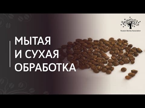 Thumbnail for Методы обработки кофейного зерна | Сухая, мытая обработка кофе by Russian Barista
