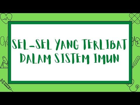 Thumbnail for Sel-Sel yang Terlibat dalam Sistem Imun by Kuliah Keperawatan
