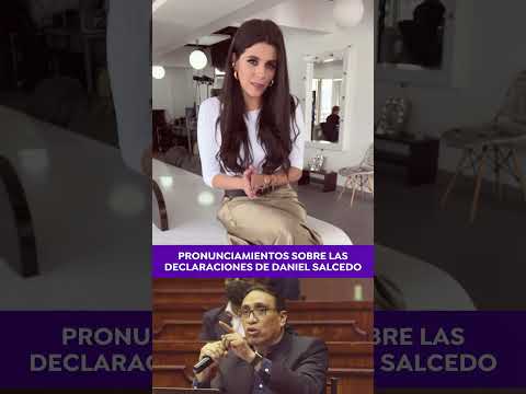 Thumbnail for Pronunciamientos sobre las declaraciones de Daniel Salcedo. #noticias #ecuador #publicidad by visionariasec