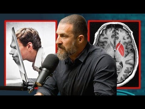 Thumbnail for What Actually Happens When Your Brain Forgets Porn - Dr. Andrew Huberman by Chris Williamson