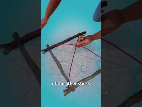 Thumbnail for How To Turn Sticks Into A Real Basket 😮 by Zack D. Films