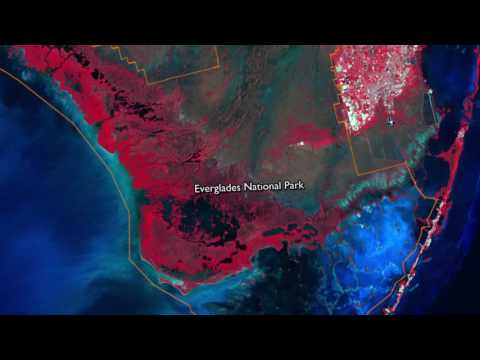Thumbnail for Landsat 8: Band by Band by NASA Scientific Visualization Studio
