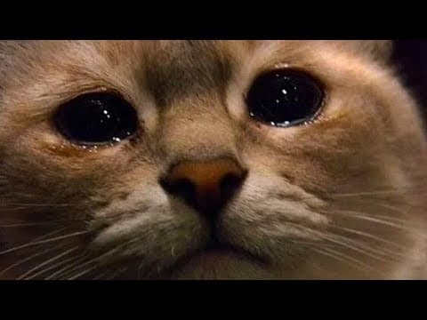 Thumbnail for 5 признаков того, что ваш друг "уходит" by Sres