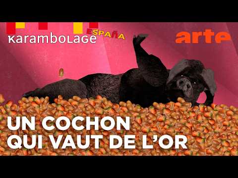 Thumbnail for Le porc ibérique : pourquoi les Espagnols en font-ils tout un jambon ? by Karambolage en français - ARTE
