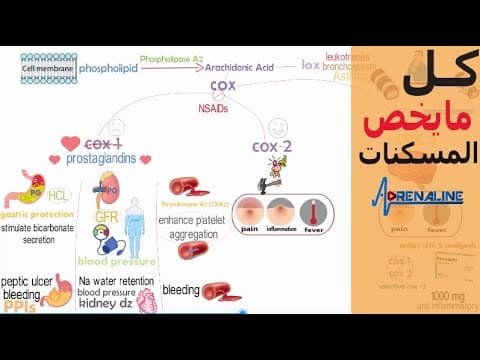 Thumbnail for محاضرة المسكنات واامن المسكنات الي تنفع مع الاطفال و الحامل ومرضي الكلي  والقلب والكبد و والجرعات by  ادرينالين - adrenaline