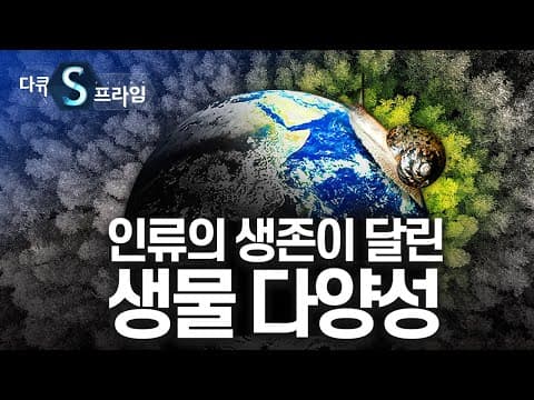 Thumbnail for 멸종위기 속 생물다양성을 말하다 [#다큐S프라임] / YTN 사이언스 by YTN 사이언스
