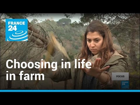 Thumbnail for Why Italian graduates are choosing life on the farm | Focus • FRANCE 24 English by FRANCE 24 English