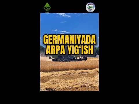Thumbnail for GERMANIYADA ARPA YIG‘ISH #tractor #traktor #kombayn #combine #harvest #qishloqxojaligi #урожай #like by TST-Agro Uzbekistan