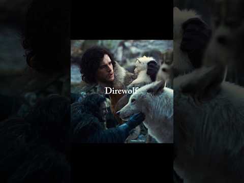 Thumbnail for Why the Direwolves Mattered More Than You Think in Game of Thrones #gameofthrones #shorts #viral by Beyond Westros