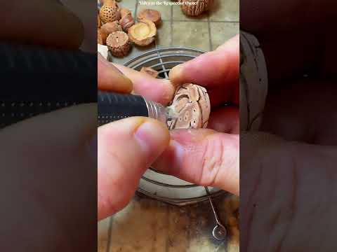 Thumbnail for ek aadmi ka budha bel ek kuae mein gir gaya.😱 #shorts #motivation by Facts Spotted