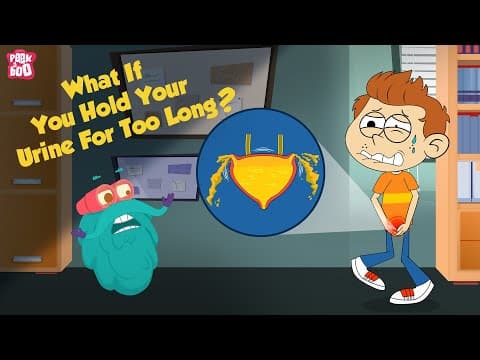Thumbnail for What If You Hold Your Urine For Too Long? | How Urinary System Works? | The Dr Binocs Show For Kids by Peekaboo Kidz