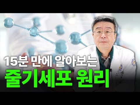 Thumbnail for [연세사랑병원] 줄기세포 원리, 이 영상 하나로 정리합니다! by 닥터고의 쓰리고TV