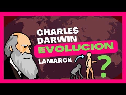 Thumbnail for Teorías de la evolución | Fijismo, Lamarck, Darwin (Explicación 2025) by Mangel Ciencia
