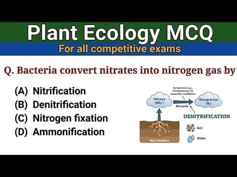 Thumbnail for Plant Ecology MCQ | Ecosystem MCQ | Biology MCQ for Competitive Exams | Video 03 by School of Biology