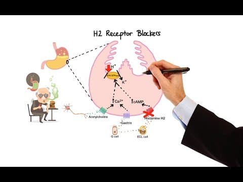 Thumbnail for Pharmacology - ANTIHISTAMINES (MADE EASY) by Speed Pharmacology