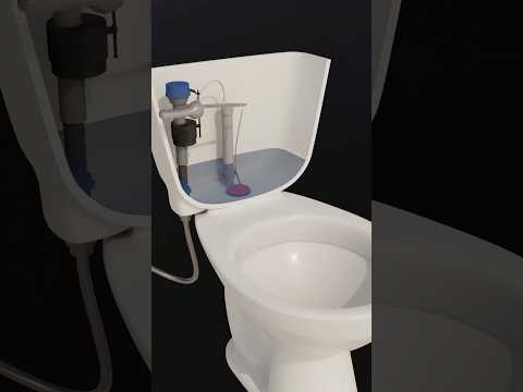 Thumbnail for How Does a Toilet Work? #wastewater #toilet by Southwest EFC