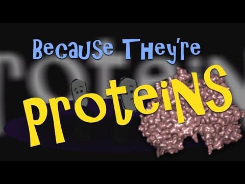 Thumbnail for The Protein Song | Theo the Tiny Bug by Theo the Tiny Bug 🦠🔬