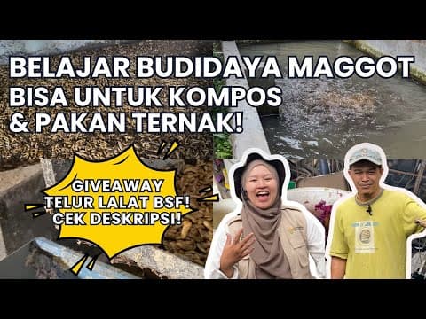 Thumbnail for BELAJAR BUDIDAYA MAGGOT SKALA RUMAHAN || Peluang Usaha Agrobisnis Potensial Modal Rp 0 Wajib dicoba! by Mitratani Online Indonesia