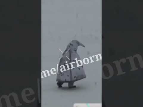Thumbnail for Why are Russian soldiers dressing up as PENGUINS in Ukraine? by Red Line Analysis
