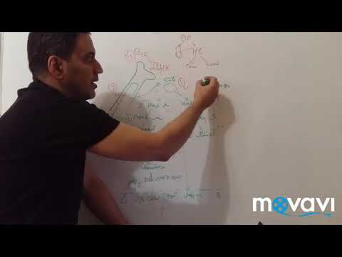 Thumbnail for патофизиология красной крови .анемии by Лекции патологическая физиология