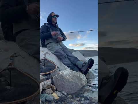 Thumbnail for I SUCK AT MINI JIGGING #trout #troutfishing #ultralightfishing #jigging #troutreel #spinfishing by Trout Made Angler Co.