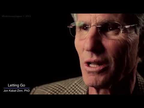 Thumbnail for 9 actitudes de mindfulness  Jon Kabat Zinn by Canerino Cursos