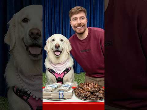 Thumbnail for Would Your Dog Pick $10,000 or Steak? by MrBeast