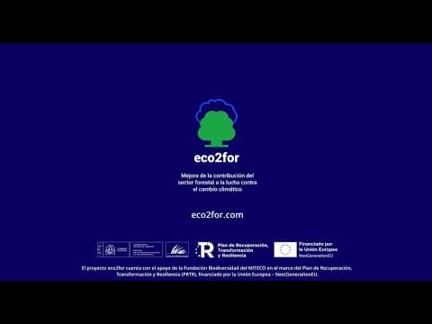Thumbnail for Proyecto eco2for: Gestión forestal para combatir el cambio climático y revitalizar zonas rurales by Asociación Foro de Bosques y Cambio Climático
