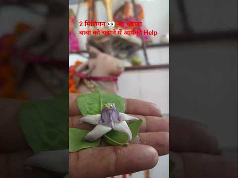 Thumbnail for #shivtandav#shiv #kedarnath #mahakal #shorts #shortsviral by UP54MAU