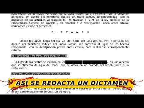 Thumbnail for APRENDE a hacer DICTAMENES by Estudiante Forense