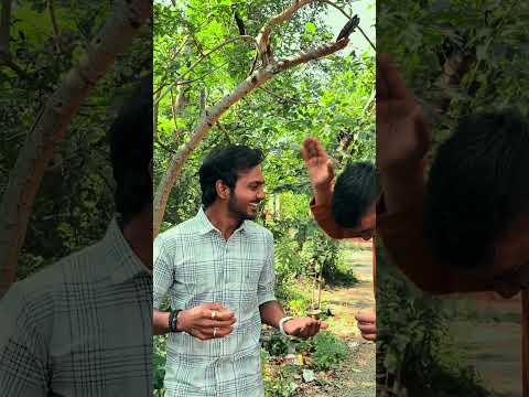 Thumbnail for एकतर्फी प्रेम माझ #vmp_lihito by Vmp lihito