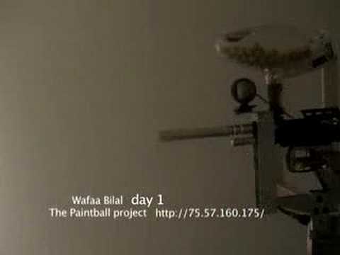Thumbnail for The paintball project. by wafaa bilal