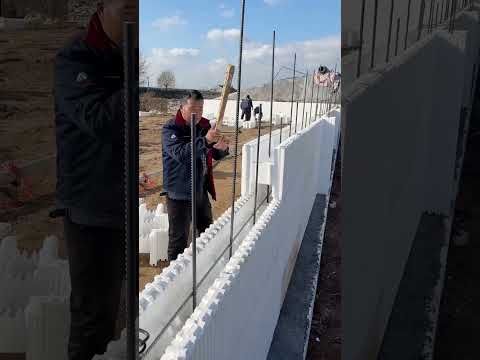 Thumbnail for 50 mein pata chalta hai ki papa chup rehke pura ghar! #shorts #motivation by Facts Spotted