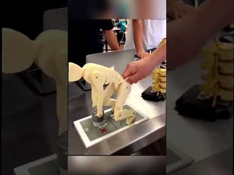 Thumbnail for How Posture really works 😱#shorts #ytshorts by Brain Fix