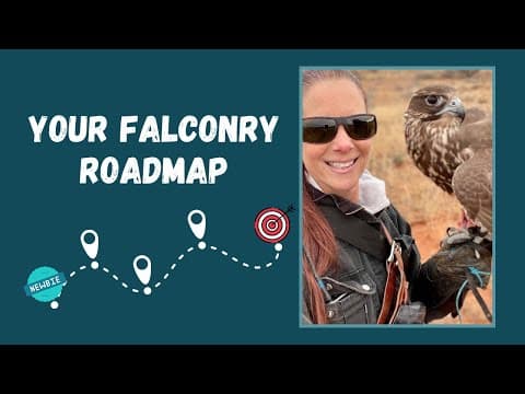 Thumbnail for How To Become a Falconer: A Step by Step Beginner's Guide! by International Raptor & Falconry Center