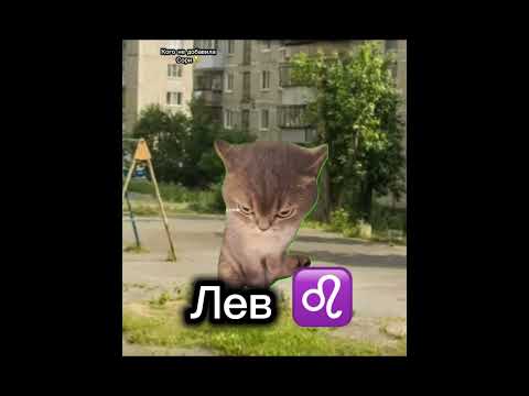Thumbnail for Скоро лето!❤️😸 #мемныекоты #пустьзалетит #нетхейту #жиза #подпишись #хзчтоснимать #скоролето by Мемные коты🐱