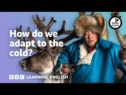 Thumbnail for How do we adapt to the cold? ⏲️ 6 Minute English by BBC Learning English