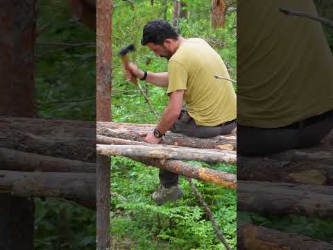 Thumbnail for Building a Bushcraft Tree House | Building in the wild forest | Cozy TREE HOUSE #treehouse by EMRE OUTDOORS