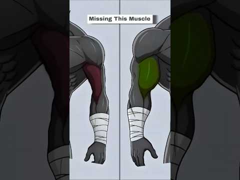 Thumbnail for Why Your Biceps Disappear From the Front (Fix This Fast) by Exno Fitness