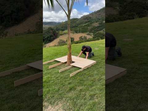 Thumbnail for Building a Life Around a Single Tree 🌴 by MrVex