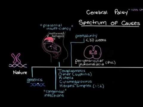 Thumbnail for Khan Academy - What is Cerebral Palsy & What Causes it? by Emma Giles