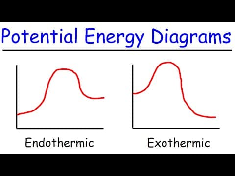 Thumbnail for Endothermic and Exothermic Reactions With Potential Energy Diagrams by The Organic Chemistry Tutor