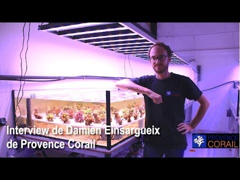 Thumbnail for Reportage chez Provence Corail, à la découverte d'une ferme de corail en France. by Récifal News