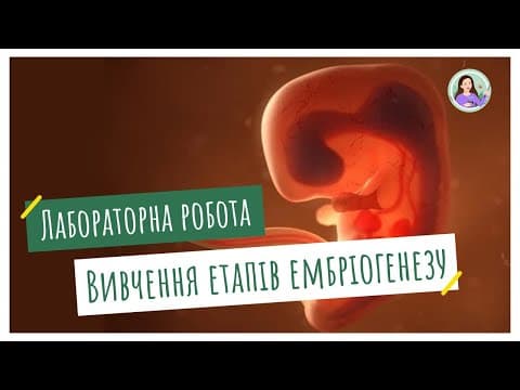 Thumbnail for Лабораторна робота. Вивчення етапів ембріогенезу by Tetiana Chychkovska