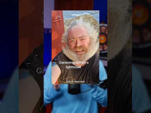 Thumbnail for Life Advice From a Lighthouse 🤣 by Mappelz