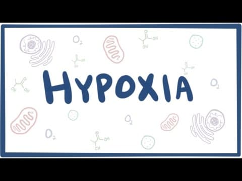 Thumbnail for Hypoxia & cellular injury - causes, symptoms, diagnosis, treatment & pathology by Osmosis from Elsevier